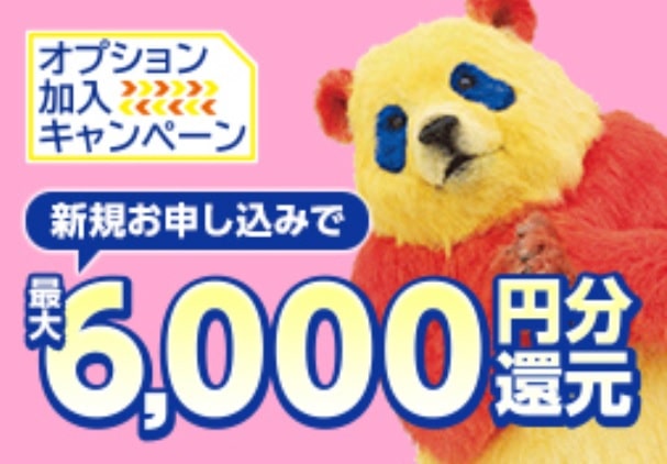 【最大6000円還元】オプション加入キャンペーン